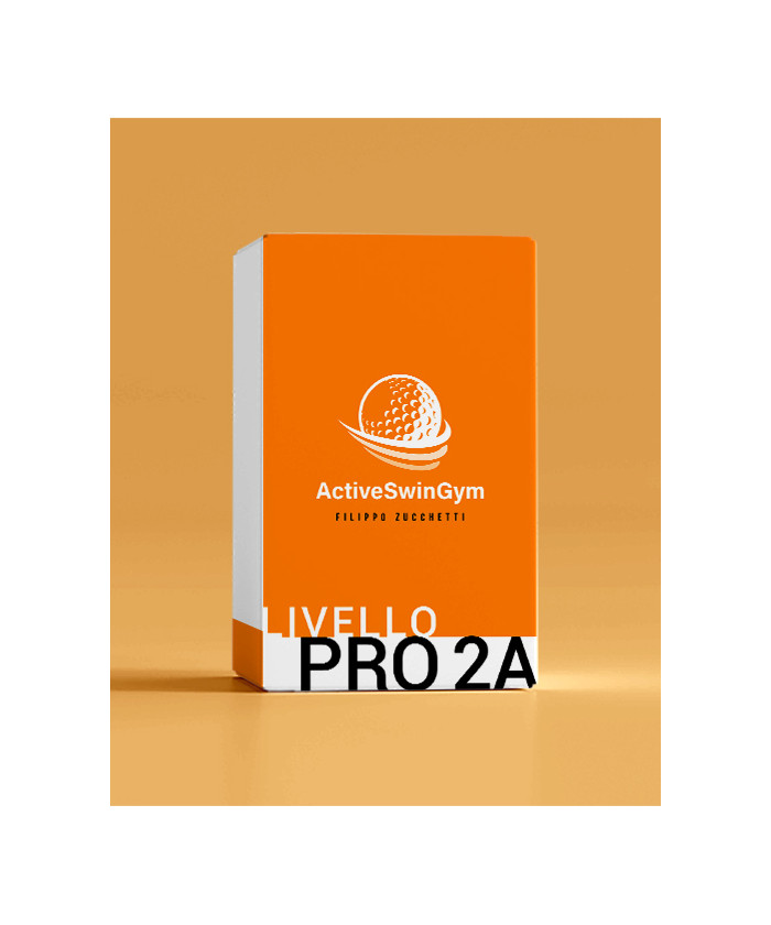 Level PRO2/A